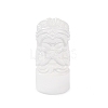 Natural Selenite Figurines DJEW-Q006-01N-1