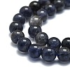 Natural Iolite Beads Strands G-E576-05A-3