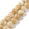 Natural Trochus Shell Beads Strands SHEL-K006-18D-1