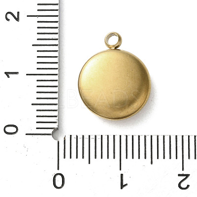 304 Stainless Steel Acrylic Pendants LS-STAS-M091-02A-G-1