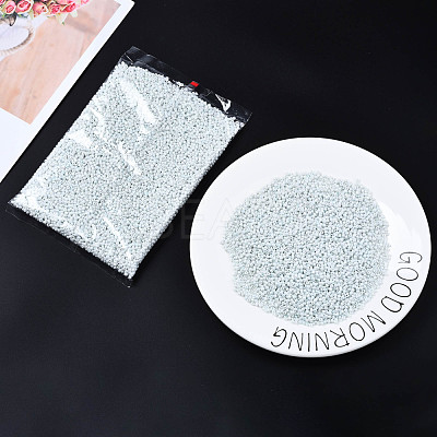 8/0 Glass Seed Beads SEED-S061-A-979-1