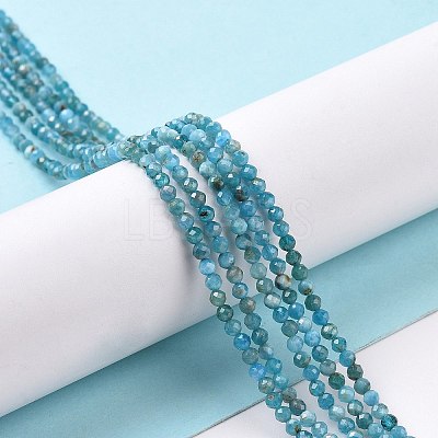 Natural Apatite Beads Strands X-G-E411-36-2mm-01-1