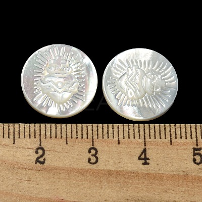Carved Natural White Shell Cabochons SSHEL-N038-06B-08-1