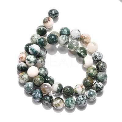 Natural Tree Agate Beads Strands G-H1633-8MM-1