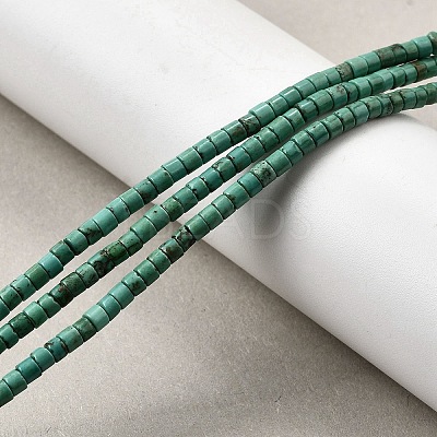 Natural Howlite Beads Strands G-F791-A01-1