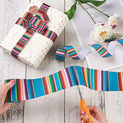 2Rolls 2 Styles Stripe Pattern Printed Polyester Grosgrain Ribbon OCOR-TA0001-37N-1
