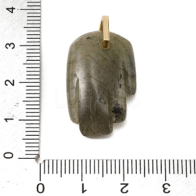 Natural Labradorite Carved Pendants GG-CBA5963-01I-NH-1