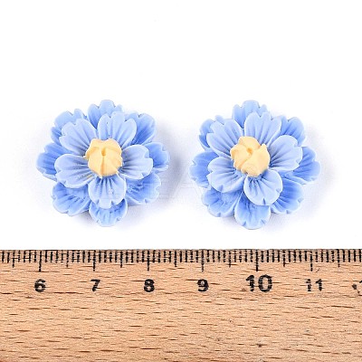 Resin Decoden Cabochons CRES-T025-04C-1