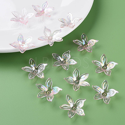 Transparent Acrylic Beads LS-MACR-S373-102-C02-1
