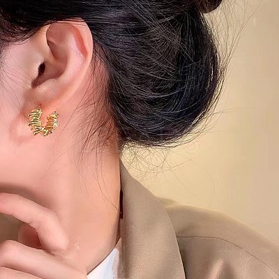 Alloy Hoop Earrings FS-WG6946A-01-1