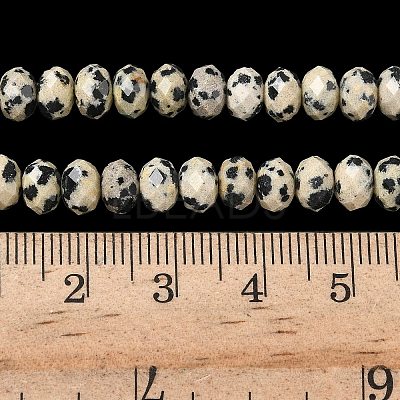 Natural Dalmatian Bead Strands G-D344-A26-1