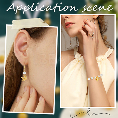 40Pcs 2 Styles Alloy Charms FIND-SC0013-16-1