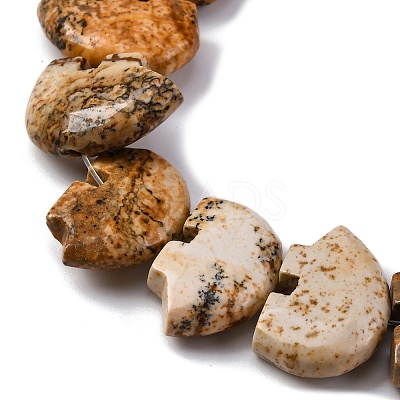 Natural Picture Jasper Beads Strands G-F783-G03-01-1