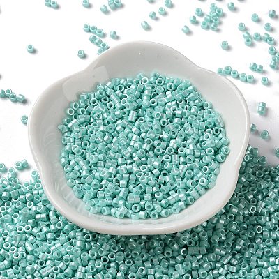 Baking Paint Glass Seed Beads X-SEED-S042-15A-09-1