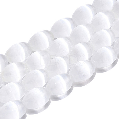 Dyed Natural Selenite Beads Strands G-T138-232A-1