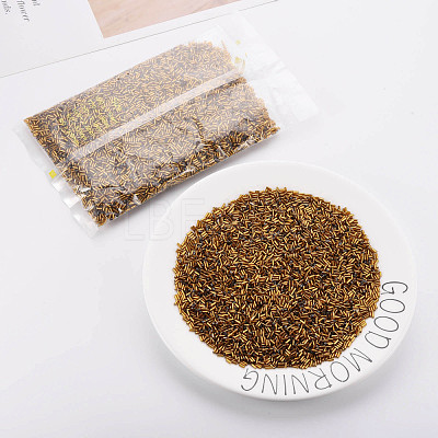 Plated Glass Bugle Beads SEED-S046-01A-41-1