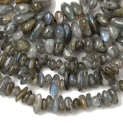 Natural Labradorite Beads Strands G-I225-15A-1