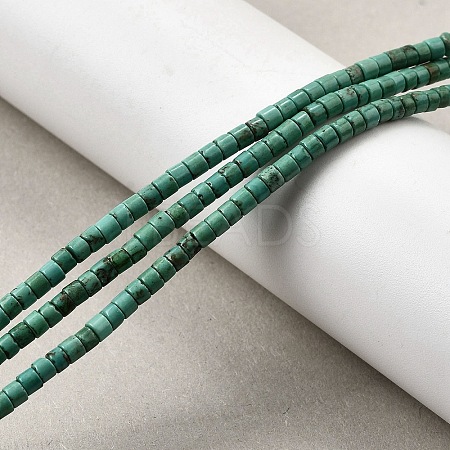 Natural Howlite Beads Strands G-F791-A01-1