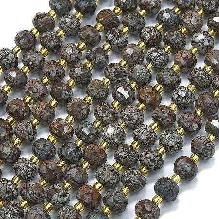 Natural Snowflake Obsidian Beads Strands G-K389-E32-01-1