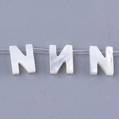 Natural Sea Shell Beads SHEL-T012-60N-1