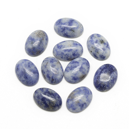 Natural Blue Spot Jasper Cabochons G-R415-14x10-45-1