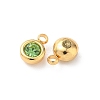 304 Stainless Steel Charms STAS-Z115-01G-01-2