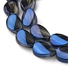 Transparent Electroplate Glass Bead Strands EGLA-C001-FR02-3