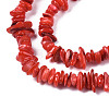 Natural Freshwater Shell Beads Strands SHEL-S278-071A-3