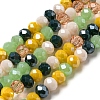 Glass Beads Strands EGLA-A034-M6mm-20-3