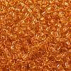 TOHO 8/0 Round Beads SEED-TR08-0002B-2