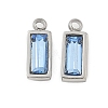 304 Stainless Steel Charm STAS-L022-242P-13-1