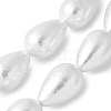 Electroplated Shell Pearl Beads Strands BSHE-F013-13-02-1