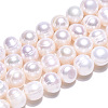 Natural Cultured Freshwater Pearl Beads Strands PEAR-N013-17N-01-5