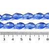 Transparent Glass Beads Strands EGLA-N013-T6mm-D10-4