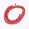 Glass Beads Strands GLAA-R024-6x4mm-14-2