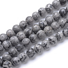 Natural Map Stone/Picasso Stone/Picasso Jasper Bead Strands G-R345-6mm-41-1