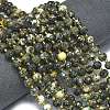 Natural African Turquoise(Jasper) Beads Strands G-K389-E71-01-2