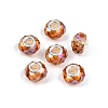 Transparent Glass European Beads GPDL-N004-D14mm-A06-1