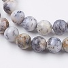 Natural White African Opal Beads Strands G-F563-03-8mm-3