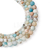 4 Strands 4 Style Natural Frosted Flower Amazonite Round Beads G-TA0001-31-10