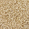 MIYUKI Delica Beads X-SEED-J020-DB0621-3