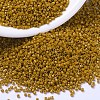 MIYUKI Delica Beads SEED-X0054-DB2106-1