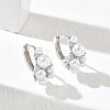 Brass Micro Pave Cubic Zirconia Hoop Earrings for Women EJEW-A168-17P-1