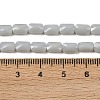 Opaque Glass Beads Strands GLAA-Z018-D19-4