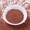 MIYUKI Delica Beads X-SEED-J020-DB2178-2