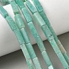 Natural Amazonite Beads Strands G-G837-28-1