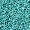 MIYUKI Delica Beads SEED-X0054-DB0166-2