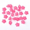 Transparent Acrylic Beads PL560-2-2