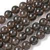 Natural Ice Obsidian Beads Strands G-P590-A03-12mm-01-2