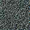 TOHO Round Seed Beads SEED-XTR15-0995-2